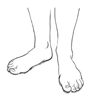 Regenerační inspirace – media 7